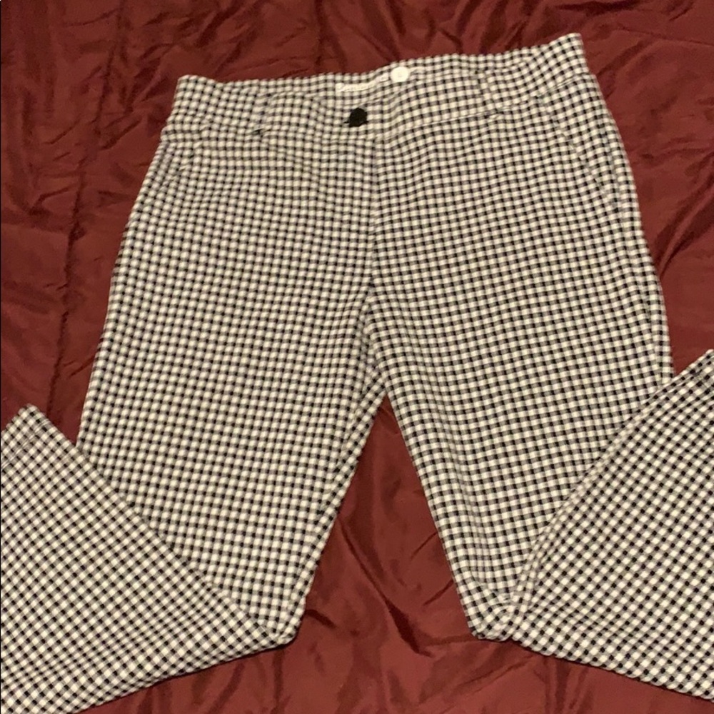 Dress Pant Yoga Pants